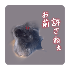 [LINEスタンプ] 王子のわんこ
