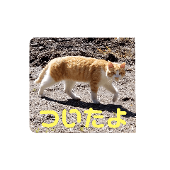 [LINEスタンプ] アーユルキャットの仲間