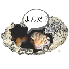 [LINEスタンプ] shino0829