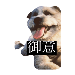 [LINEスタンプ] そして犬となる