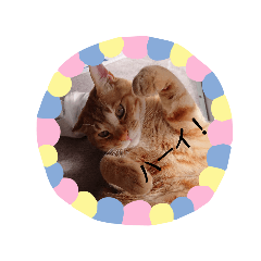 [LINEスタンプ] coneneko