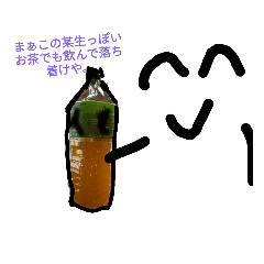[LINEスタンプ] キャベツに食物繊維は、そこまでないらしい