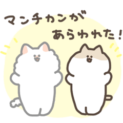 [LINEスタンプ] マンチカンズ