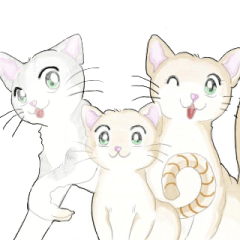 [LINEスタンプ] ねこ、ねこ、仔猫