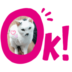 [LINEスタンプ] うしちゃんんん！