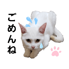 [LINEスタンプ] 我が家のあいさつ
