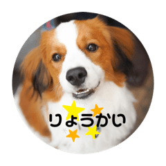 [LINEスタンプ] モネくん