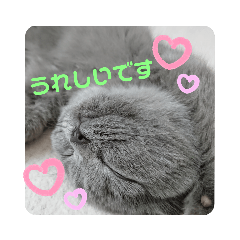 [LINEスタンプ] 敬語であいさつユキちゃん