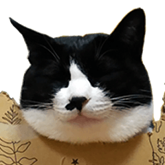 [LINEスタンプ] ハチトラハチフキ
