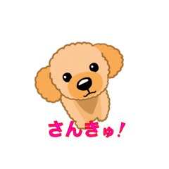 [LINEスタンプ] ころんのスタンプ vol2