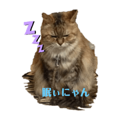 [LINEスタンプ] 普通のにゃんこ2