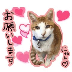 [LINEスタンプ] らいもんず