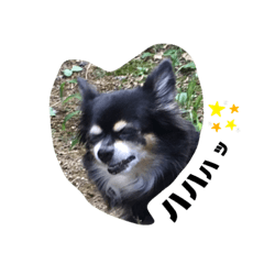 [LINEスタンプ] ココちゃんスタンプ4