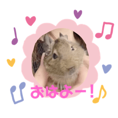 [LINEスタンプ] デグーのココア