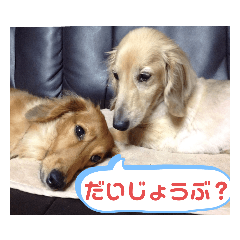 [LINEスタンプ] りずむ＆かのん