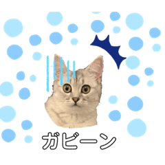 [LINEスタンプ] おねこのダリル