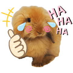 [LINEスタンプ] アメファジスタンプ