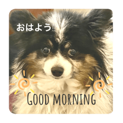 [LINEスタンプ] タビー