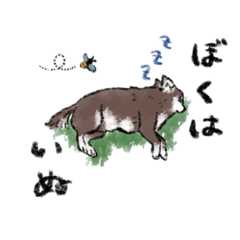 [LINEスタンプ] コロちゃん+スタンプ=コロンプ