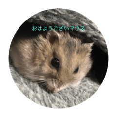 [LINEスタンプ] ほ乳類でチュ