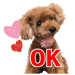 [LINEスタンプ] ほったのハイジちゃん