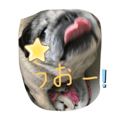 [LINEスタンプ] ぶんたん集め3