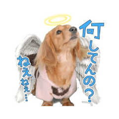 [LINEスタンプ] あられ日和