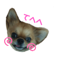 [LINEスタンプ] モカモカもかやん②