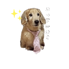 [LINEスタンプ] Lkun