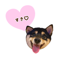 [LINEスタンプ] 豆柴くれあ①