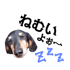 [LINEスタンプ] ぽっきーちゃんすたんぷ