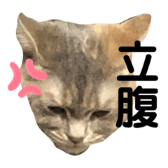 [LINEスタンプ] メルピーのスタンプ