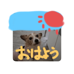 [LINEスタンプ] ラブ＆コロン