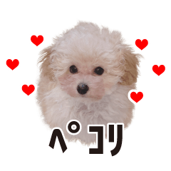 [LINEスタンプ] リル・もぅふくんのスタンプ