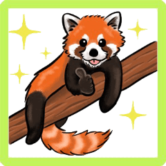 [LINEスタンプ] 熊とクマっぽい動物たち