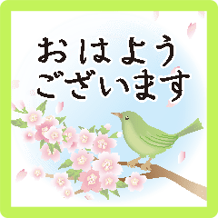 [LINEスタンプ] 動く！うぐいすと桜と梅 大人の和柄 ・春の画像（メイン）