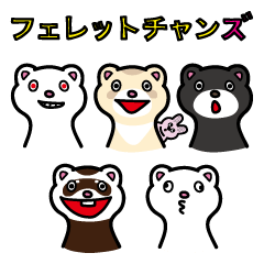 [LINEスタンプ] フェレットチャンズ