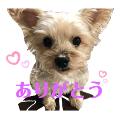 [LINEスタンプ] うると♡1