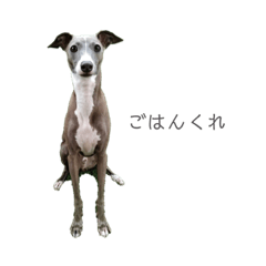 [LINEスタンプ] 我が家のトティ男