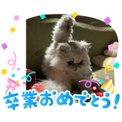 [LINEスタンプ] 不機嫌そらちゃん其の4