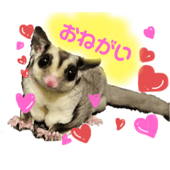 [LINEスタンプ] フクロモモンガの秀吉さん