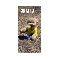 [LINEスタンプ] ポノちゃんスタンプその5