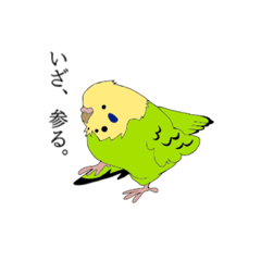 [LINEスタンプ] セキセイインコスタンプ8