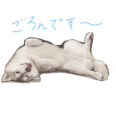 [LINEスタンプ] 紬と絆衣