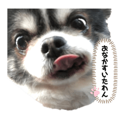[LINEスタンプ] 空海の日常