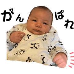 [LINEスタンプ] ひっくん 1