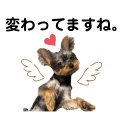 [LINEスタンプ] 少し大人になったPinoさん。