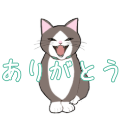 [LINEスタンプ] 女の子とマンチカン
