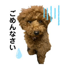 [LINEスタンプ] ソラくんの日常 一言