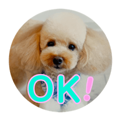 [LINEスタンプ] アラン日和